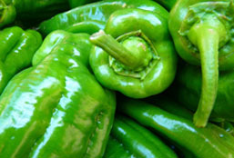 软件商城正规的在线手机号轰炸工具